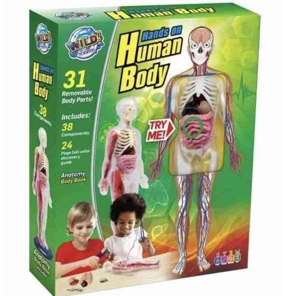 Wild Science - Hands On Human Body Model Science Kit 38 Piece, Anatomy Book STEM